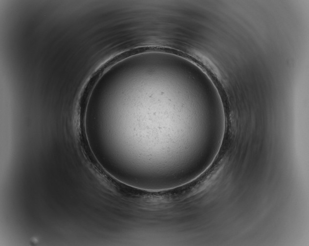 X0000093430931200710121159