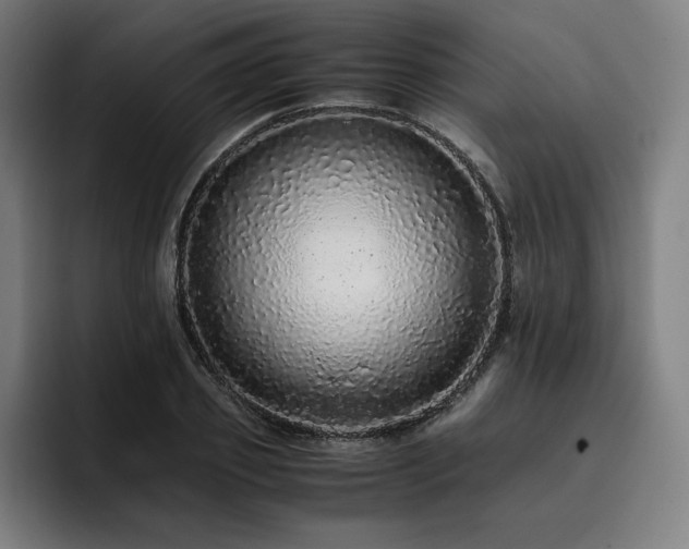 X0000093430933200710121159