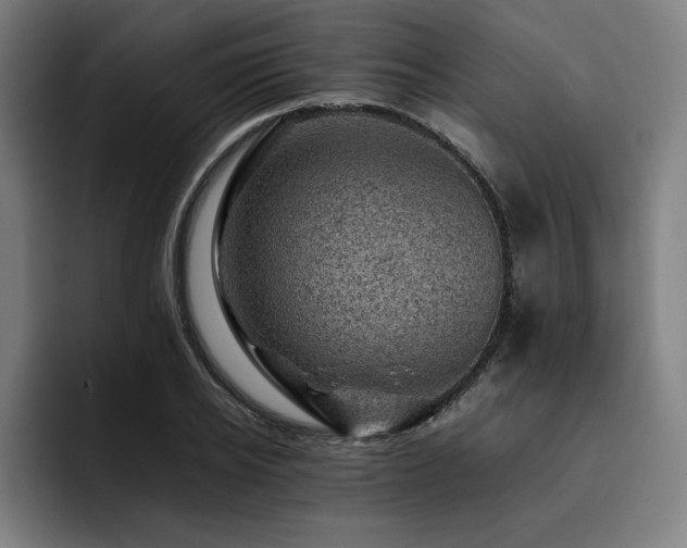 X0000093430934200710121159