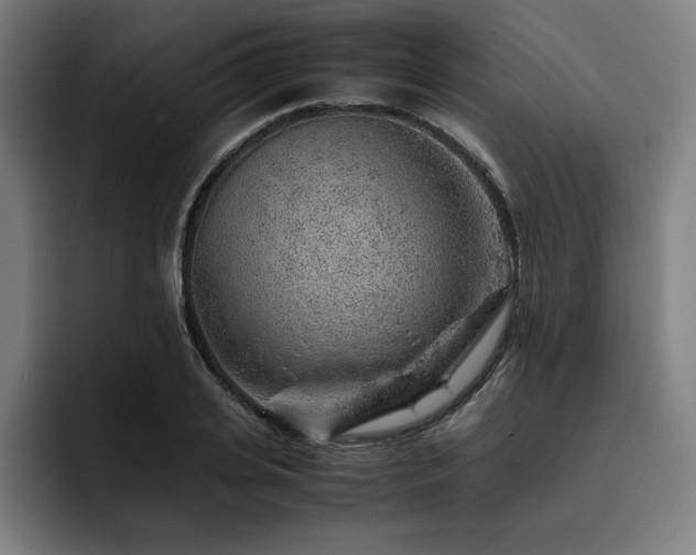 X0000093430935200710121159