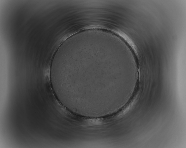 X0000093430937200710121159