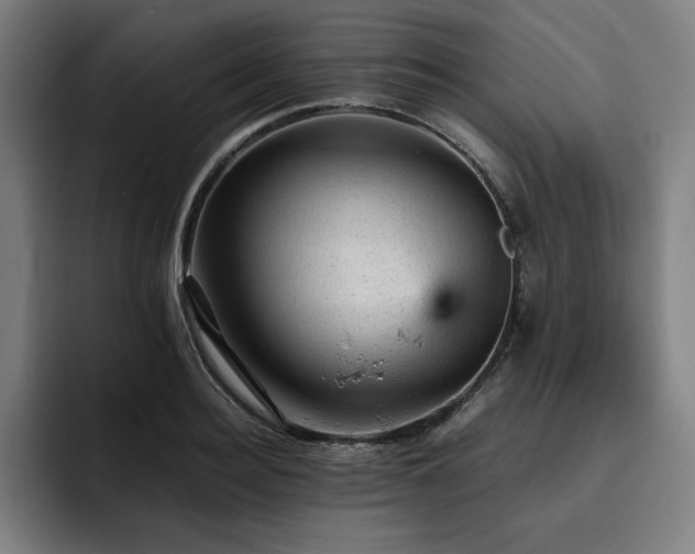 X0000093430940200710121159