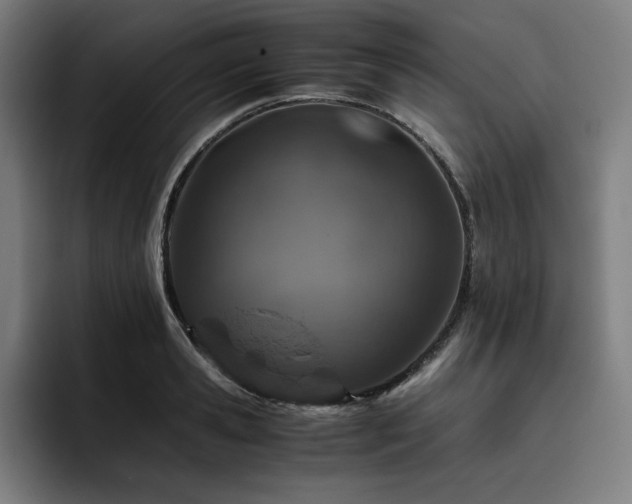 X0000093430941200710121159