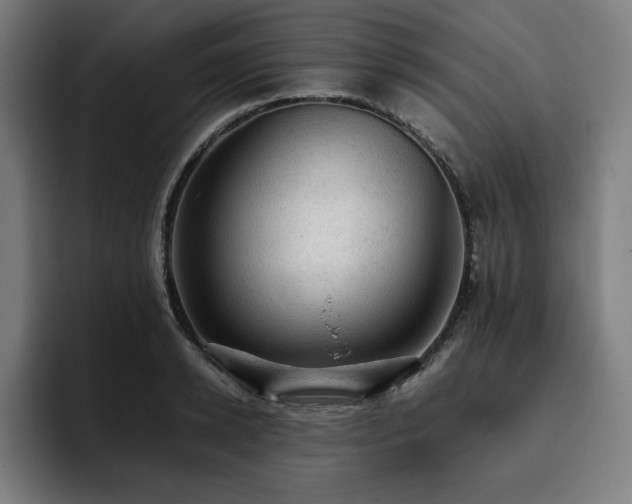 X0000093430942200710121159