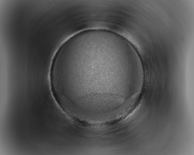 X0000093430943200710121159