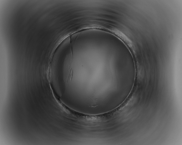 X0000093430945200710121159