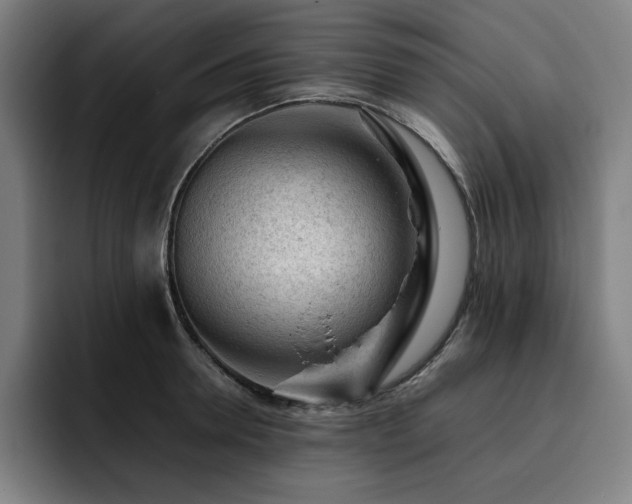 X0000093430946200710121159