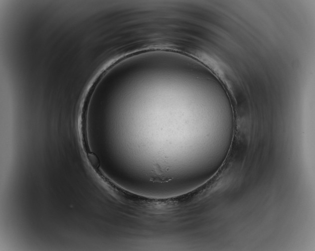 X0000093430947200710121159