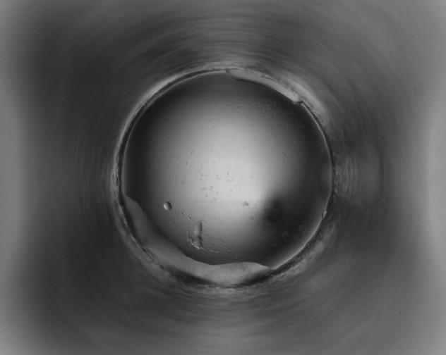 X0000093430948200710121159