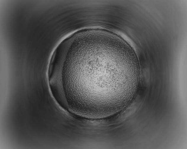 X0000093430951200710121159