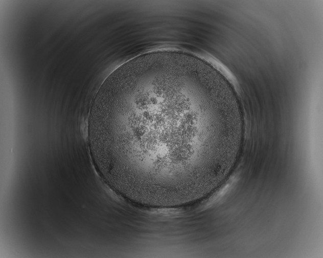 X0000093430953200710121159