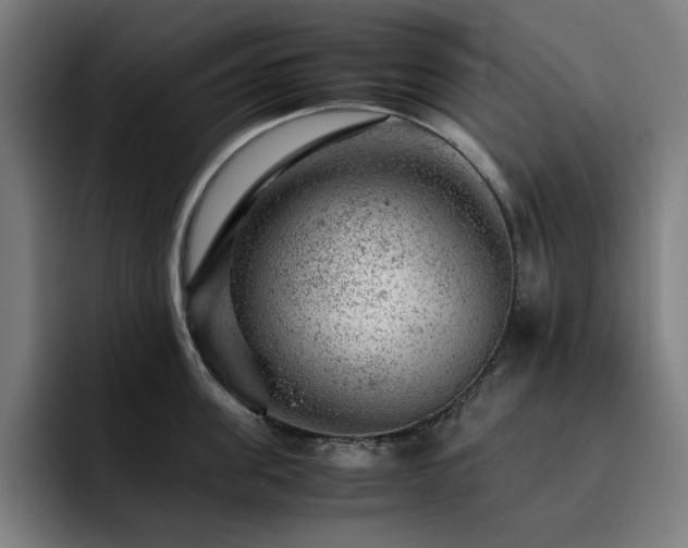 X0000093430955200710121159