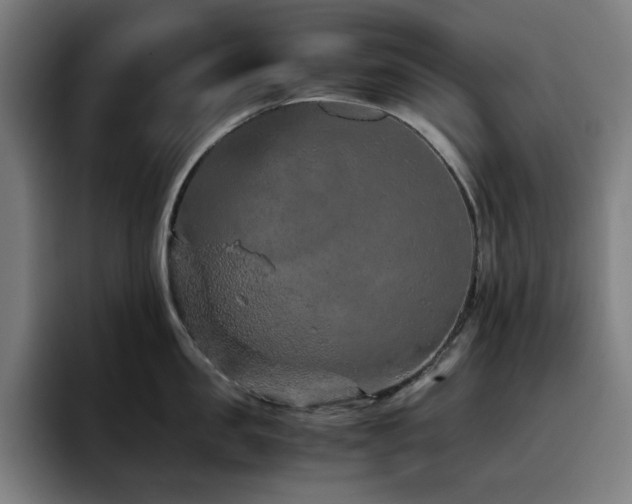 X0000093430957200710121159