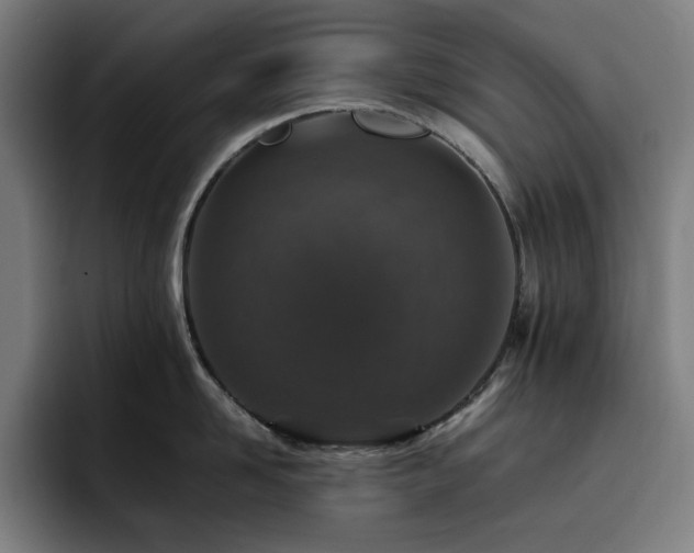 X0000093430958200710121159