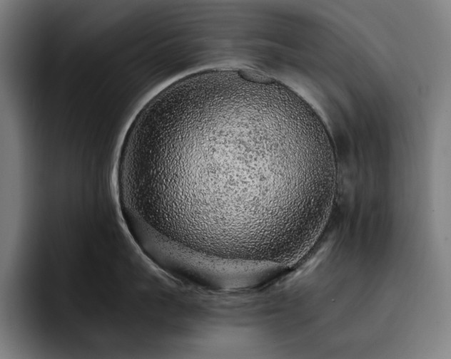X0000093430959200710121159