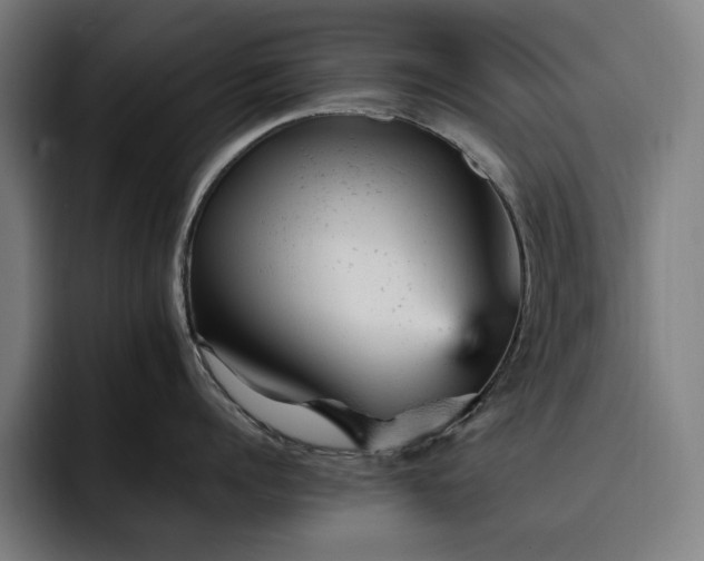 X0000093430960200710121159