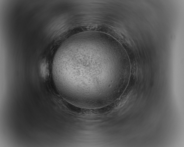 X0000093430962200710121159