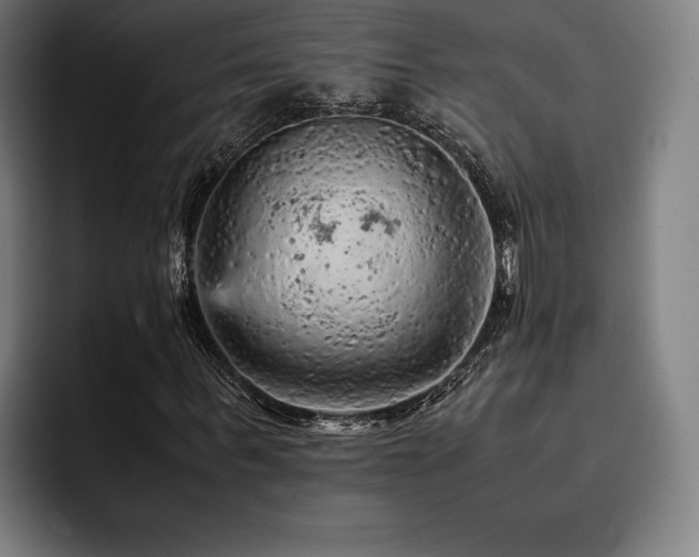X0000093430963200710121159