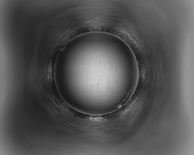 X0000093430964200710121159