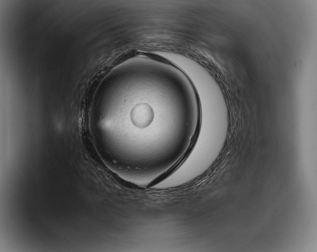 X0000093430965200710121159