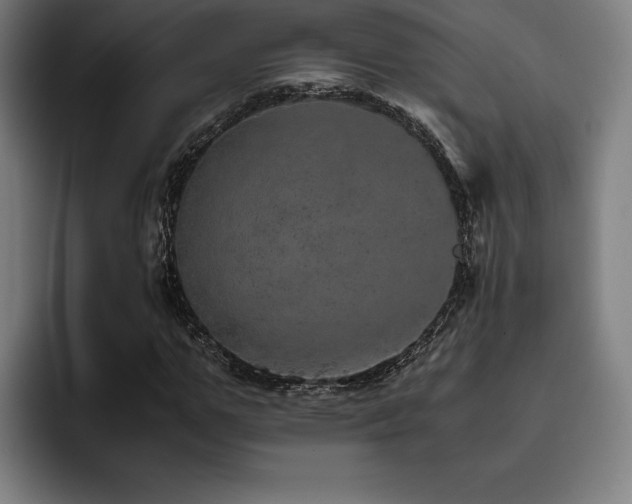 X0000093430967200710121159
