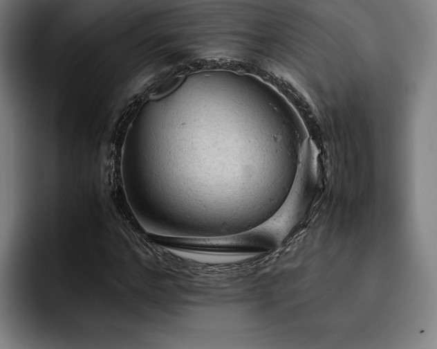 X0000093430968200710121159