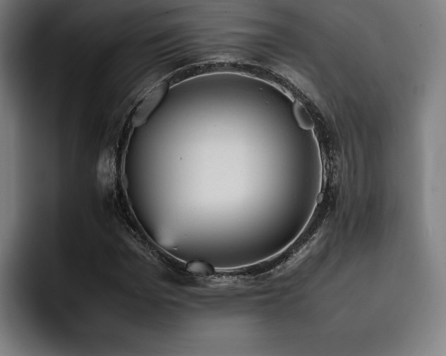 X0000093430969200710121159