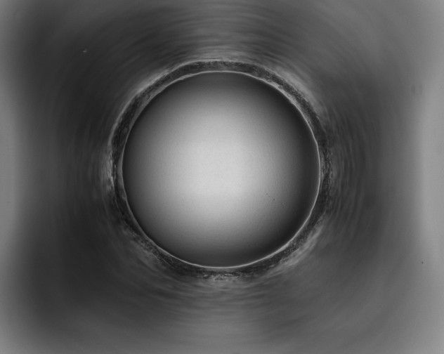 X0000093430974200710121159
