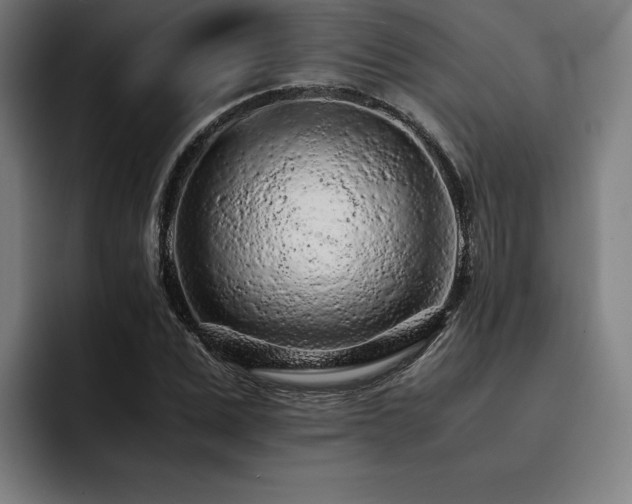X0000093430975200710121159