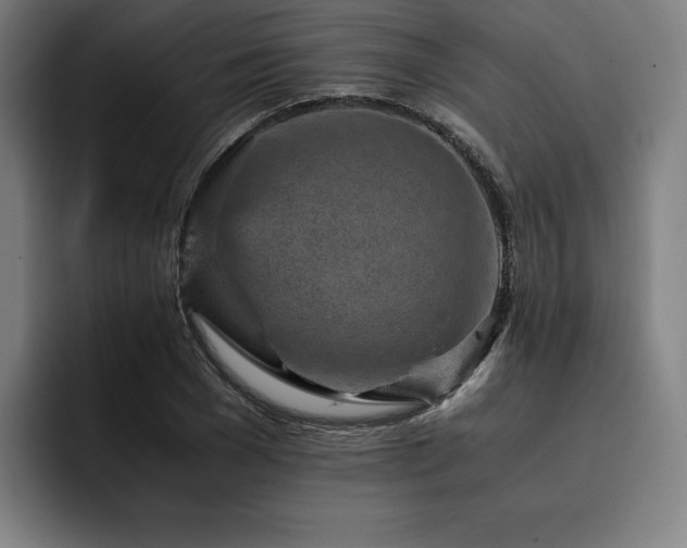 X0000093430977200710121159
