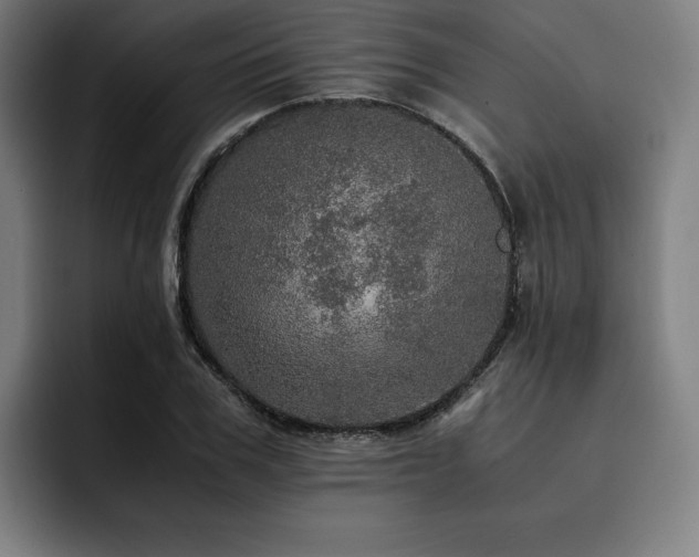 X0000093430979200710121158