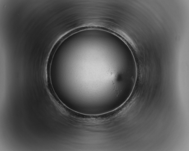 X0000093430980200710121158