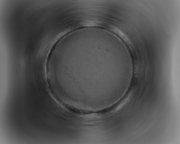 X0000093430986200710121158