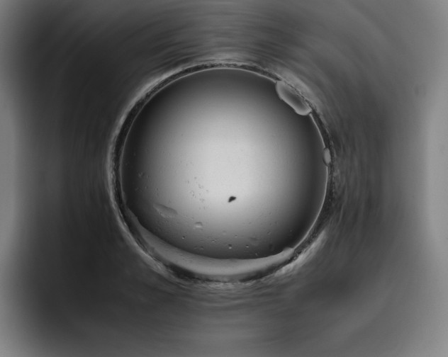 X0000093430989200710121158