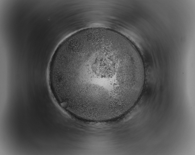 X0000093430991200710121158