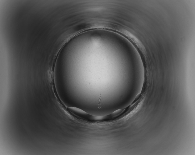 X0000093430993200710121158