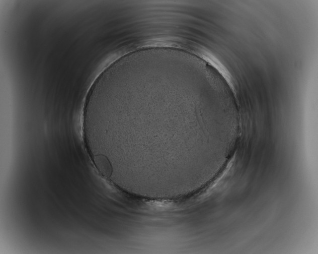 X0000093430994200710121158