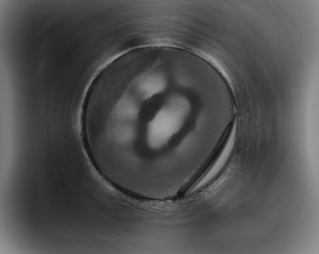 X0000093430995200710121158