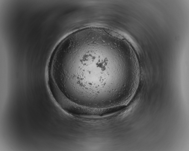 X0000093430999200710121158