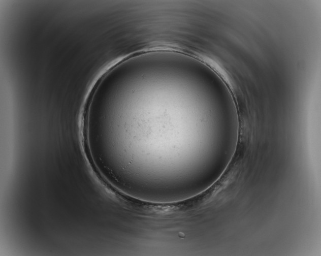 X0000093431003200710121158