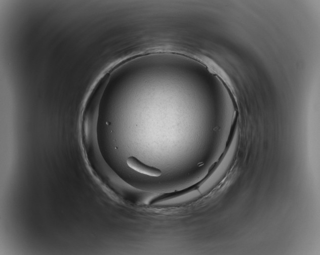 X0000093431005200710121158