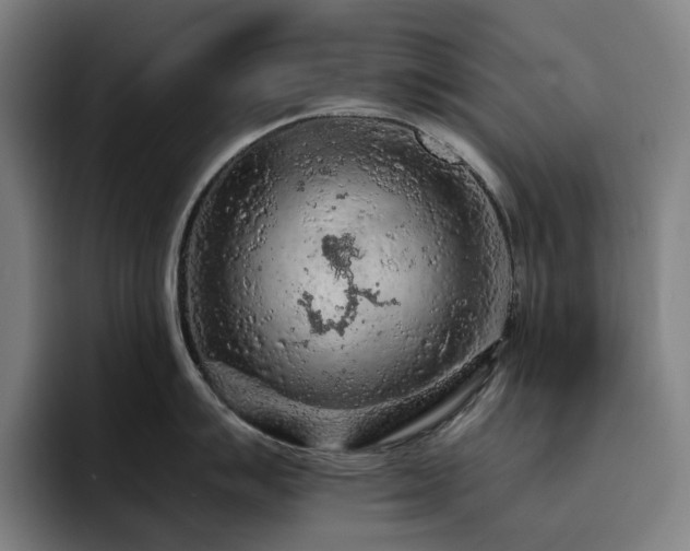 X0000093431007200710121158