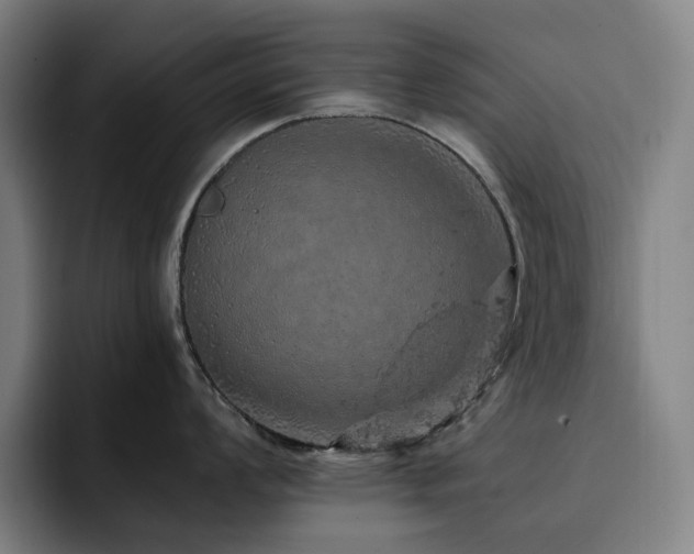 X0000093431008200710121158