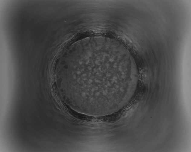 X0000093431009200710121158