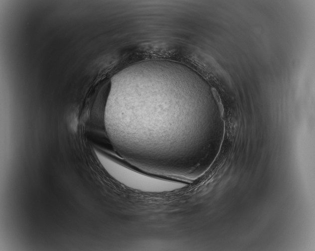 X0000093431010200710121158