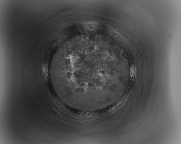 X0000093431011200710121158
