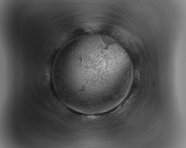 X0000093431012200710121158