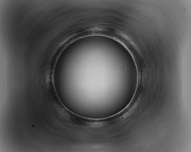 X0000093431017200710121158
