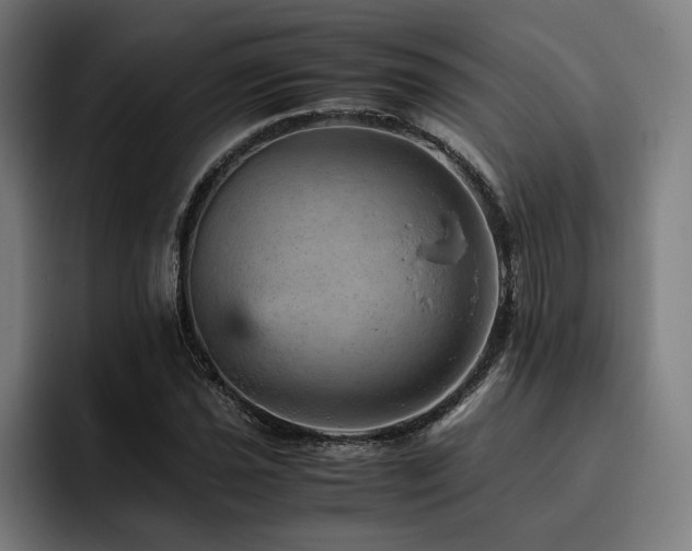 X0000093431021200710121158