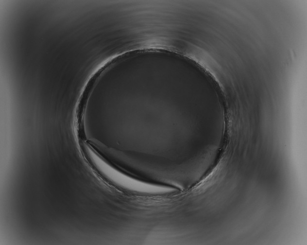 X0000093431024200710121158